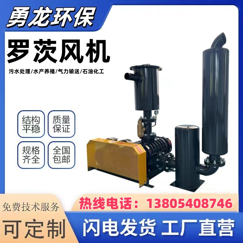 负压罗茨真空泵工作原理